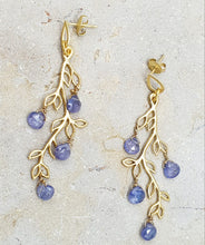Charger l&#39;image dans la galerie, Tanzanite
